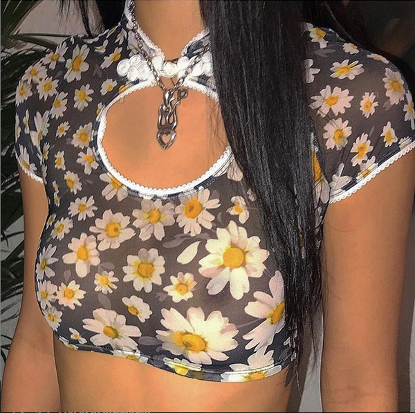 Daisy Set - Ozcult